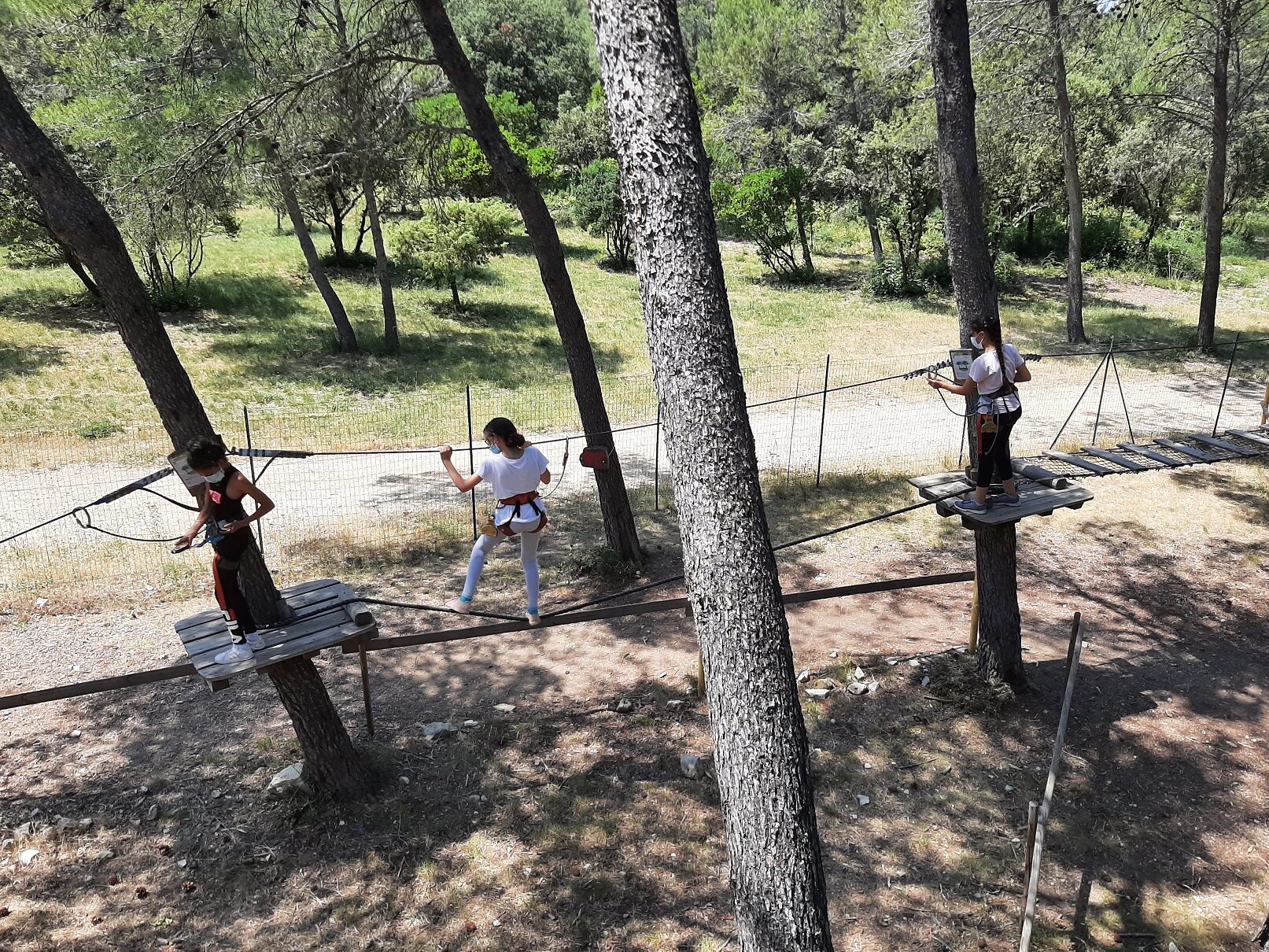 sortie AS acrobranche